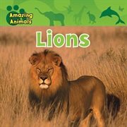 Lions cover image cdn