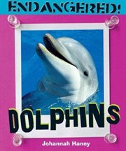 Dolphins cover image cdn