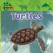 Turtles cover image cdn