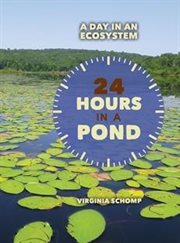 24 Hours in a Pond cover image cdn