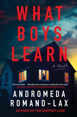 What Boys Learn cover image cdn
