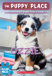Ozzie cover image cdn