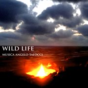 Wild Life cover image cdn