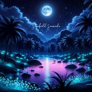 Starfield Serenade cover image cdn