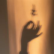 Simplicity cover image cdn