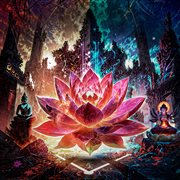 Awakening cover image cdn