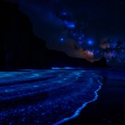 Tranquil Pulse cover image cdn