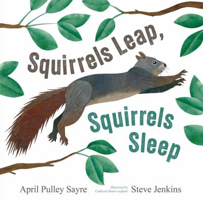 Squirrels leap, squirrels sleep  cover image cdn