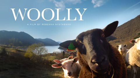 Woolly cover image cdn