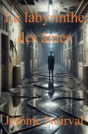 Le labyrinthe des âmes cover image cdn