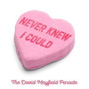 Never Knew I Could cover image cdn