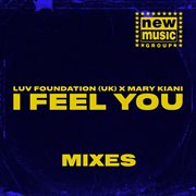 I Feel You (Mixes) cover image cdn