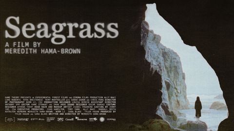 Seagrass cover image cdn