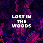Lost In The Woods cover image cdn
