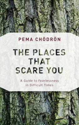The places that scare you : a guide to fearlessness in difficult times  cover image cdn