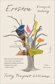 Erosion : Essays of Undoing cover image cdn