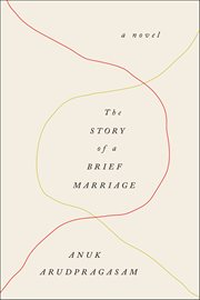 The Story of a Brief Marriage cover image cdn