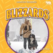Blizzards cover image cdn
