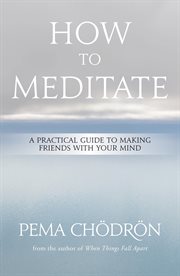 How to Meditate : A Practical Guide to Making Friends with Your Mind cover image cdn