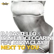 Next To You (Feat. Adam Clay) cover image cdn