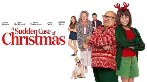 A Sudden Case of Christmas cover image cdn