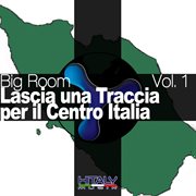Big Room, Vol. 1 (Lascia Una Traccia Per Il Centro Italia) cover image cdn