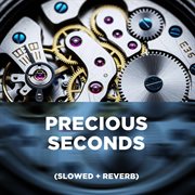 Precious Seconds (Slowed + Reverb) cover image cdn
