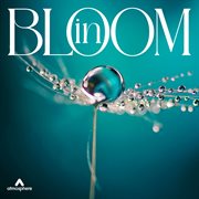 In Bloom cover image cdn