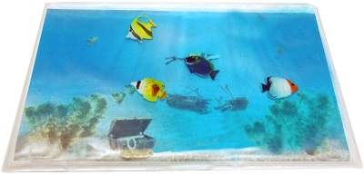 Laptop fish mat cover image