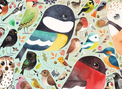 British birds jigsaw puzzle cover image