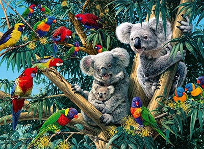 Koalas in a tree jigsaw puzzle cover image