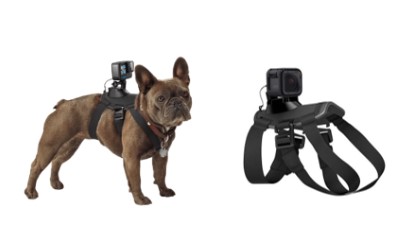 Dog filming kit cover image