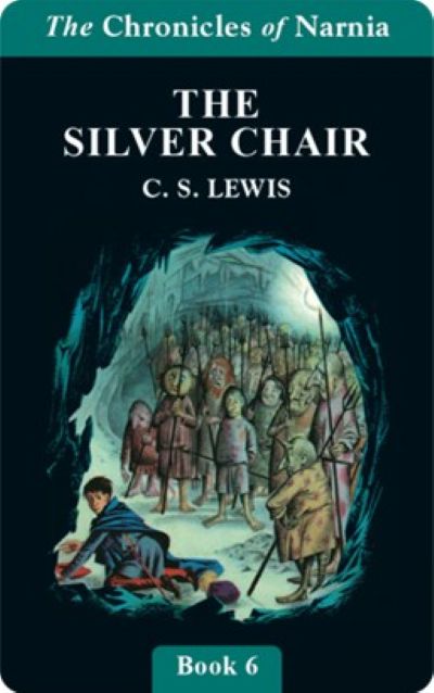 The silver chair cover image