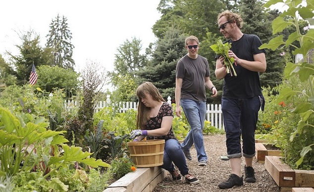 Staff gardening in community garden