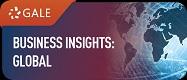 Business Insights Global